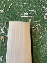 Load image into Gallery viewer, BTC Precision Bat 2