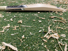 Load image into Gallery viewer, BTC Precision Bat 9