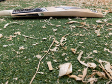 Load image into Gallery viewer, BTC Precision Bat 10