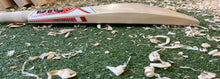 Load image into Gallery viewer, BTC Wales Performance Bat 4